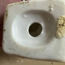 Vintage 3" Sugared Porcelain Kitten Kitty Cat Salt & Pepper ...