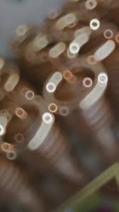 Photo by Camila Tavares (@anamilente) · September 23, 2025