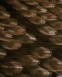 ジャヒトは27歳です 🥳𐦂𖨆𐀪𖠋🎈