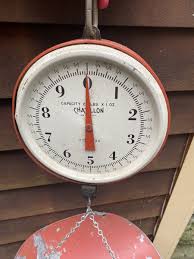 Vintage 20# Chatillon Produce Hanging Scale Basket/Pan W ...