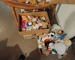 10 for 25.00 Ty Beanie Babies (no Hangtags) - Etsy