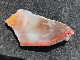 Petrified Wood RARE Red Wisp Yellow Cat W Inclusions In Qrtz Translucent | eBay
