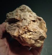 Prehistoric Paleo-American, petrified wood, rock art ...