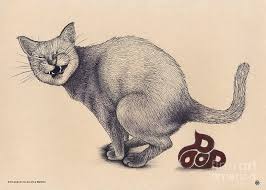 Pooping Kitty Drawing by Carolina Matthes - Metal Posters