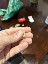 What are these ? : r/whatsthisrock