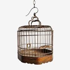 Vintage Chinese Bird Cage | Kashew