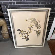 JOHN GOULD "ERYTHRONOTA ANTIQUA" VINTAGE BIRD LITHOGRAPH ...