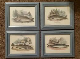 4 Vintage carp Cod Fish Prints by Whimper Grafiche Tassotti ...
