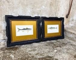 Pair of Framed Antique Fish Book Plates - Sea Bass ...