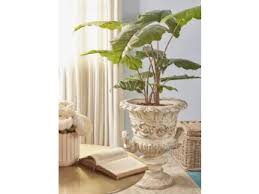 Negozi EDG a Treviso