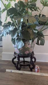 LARGE VINTAGE/ANTIQUE CHINESE Rosewood Plate Stand $124.95 ...