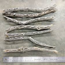 Shrimp Breeders Plant Pack , Low Tech Live Freshwater ...