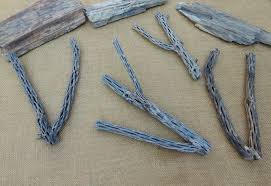 Cholla Cactus Wood / NM Desert Cholla Wood Naturally Aged ...