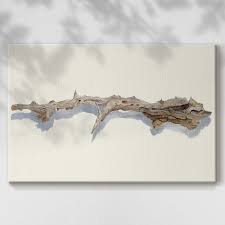 Winston Porter Driftwood Study I-Gallery Wrapped Canvas ...
