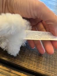 How Rocket Learned to Read White Plush Dog Stuffed Animal ...