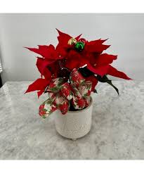 Holiday Village 4" Poinsettia | Staten Island (NY) Holiday ...