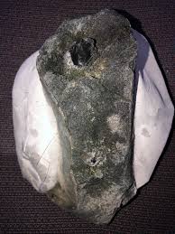 What is the ID of the fossilised root looking thing found in ...