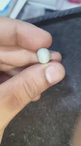 Chrysoberyl Cat's Eye Benefits – Vedic Crystals