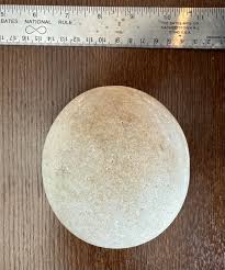 What's this Rock that looks like an Egg? : r/whatsthisrock