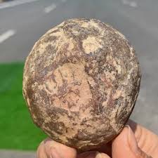 124G Natural jadeized Moroccan septarium raw stone slice ...