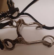 Antique Horse Bridal/studded/leather/horse Bit/equestrian/decor/show Horse/unique/rare/free Shipping - Etsy