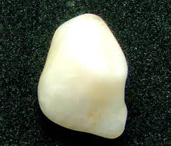 Natural Clam Pearl - 10.5 Carat - Collectors Pearl - Etsy