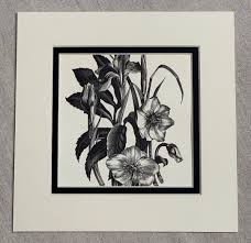 1935 Original Vintage Clare Leighton Wood Engraving 'iris ...