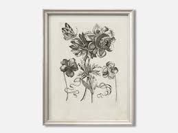 Floral Sketch Print - Cottage Wall Art – Everart