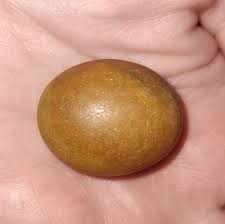 Seemingly translucent glittery object found in Tacoma WA