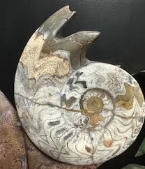 Sculpture Large Carved Petrified Mollusks Ammonite – Ron ...