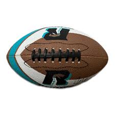 Signed Arizona Rattlers Joseph Todd #19 AFL Football – Hess & Ellis