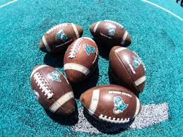 Coastal Carolina Athletics on X: "We're now accepting pre-orders to own a piece of @CoastalFootball history with your own piece of the original, iconic teal turf! Reserve your part of history by