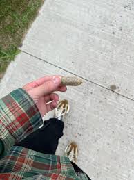 Bout to smoke this chode : r/trees