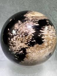 Palm Root Agate Sphere. 76mm. Incredible Fossilized Black Palm Root Ag – Gallery in The Valley
