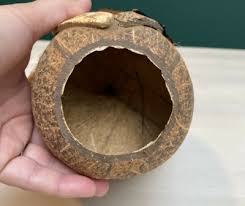 Coconut Shell Kokeshi Girl Vintage | eBay