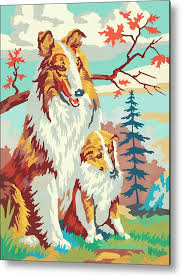 Paint-by-numbers collie Metal Print by CSA Images - Fine Art America