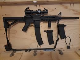 What to put on my lower? - AR-15 - Palmetto State Armory | Forum