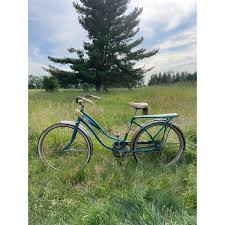 26 in Blue Girls Bikes for sale | eBay