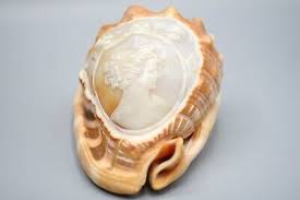 Vintage Italian Conch Shell with Detailed Hand Carved Cameo ...