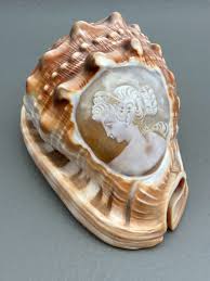 Vintage Italian Hand Carved Conch Cameo Seashell Shell ...
