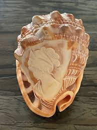 1940s Hand Carved Sea Shell With Cameo Portrait | Chairish