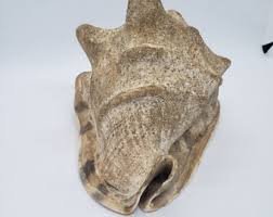 Large Horned Helmet Conch Shell, Large Natural Seashell, 7 ...