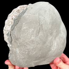 Large Golden Calcite Concretion with Ammonite Fossil | For Sale – Unearthed Store