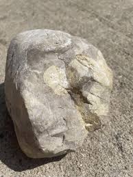 I am completely lost here. The coloration is odd and you can see glimmering when in the sun through what looks like cracks. I initially thought cement was stuck to it but