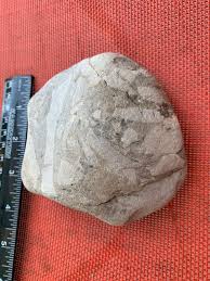 Artifact , Fossil or Weird Rock - Rocks & Minerals - The Fossil Forum