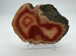 Specimen Brazilian Polished Agate Slice | eBay