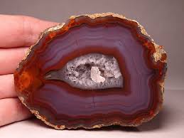 Condor Agate Half Nodule Collector Specimen Argentina | eBay