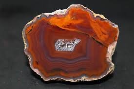Condor agate collector specimen (Fluorescent) | eBay