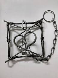 Duke Conibear 160 BT for Fisher Groundhog Racoon ...