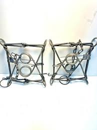 2 New Duke 220 body grip traps ( Conibear raccoon otter wood ...